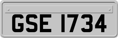 GSE1734