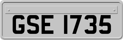 GSE1735