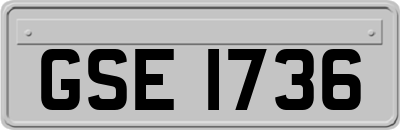GSE1736