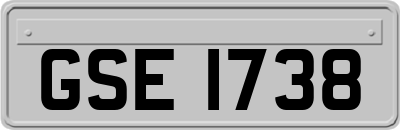 GSE1738
