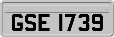 GSE1739