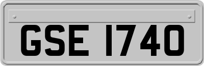 GSE1740