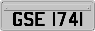 GSE1741