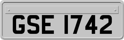 GSE1742
