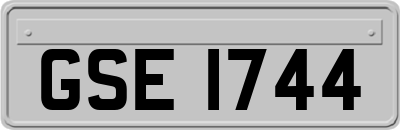 GSE1744
