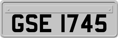 GSE1745