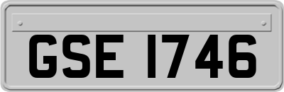 GSE1746