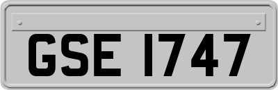 GSE1747