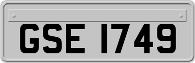 GSE1749