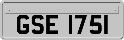 GSE1751