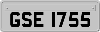 GSE1755