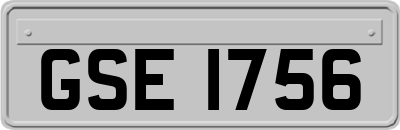 GSE1756