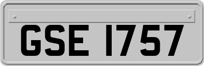 GSE1757
