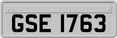 GSE1763