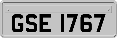 GSE1767