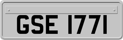 GSE1771