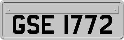 GSE1772