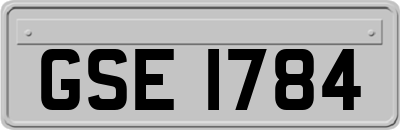 GSE1784