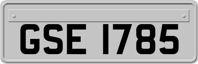 GSE1785