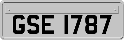 GSE1787