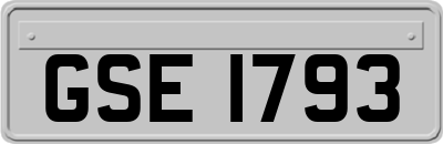 GSE1793