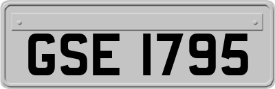 GSE1795