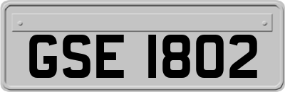 GSE1802
