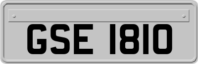 GSE1810