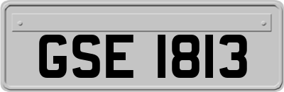 GSE1813