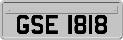 GSE1818
