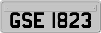 GSE1823