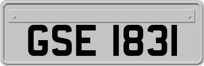 GSE1831