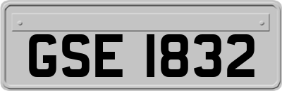 GSE1832
