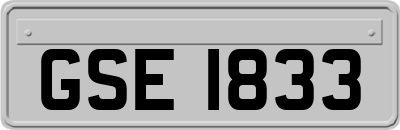 GSE1833