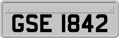 GSE1842