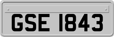 GSE1843