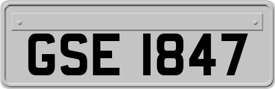 GSE1847