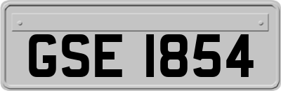 GSE1854