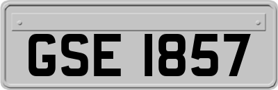 GSE1857