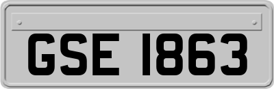 GSE1863