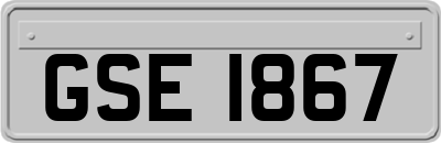 GSE1867