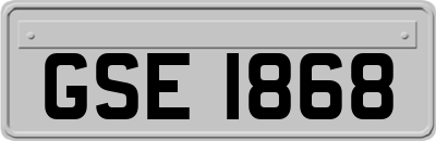 GSE1868