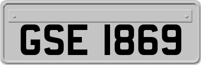 GSE1869