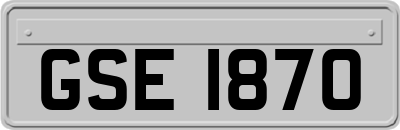 GSE1870