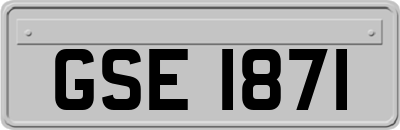 GSE1871