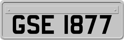 GSE1877