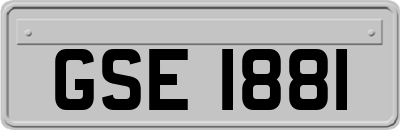 GSE1881