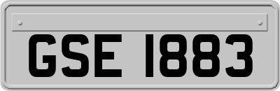GSE1883