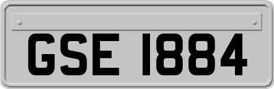 GSE1884