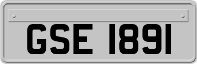 GSE1891